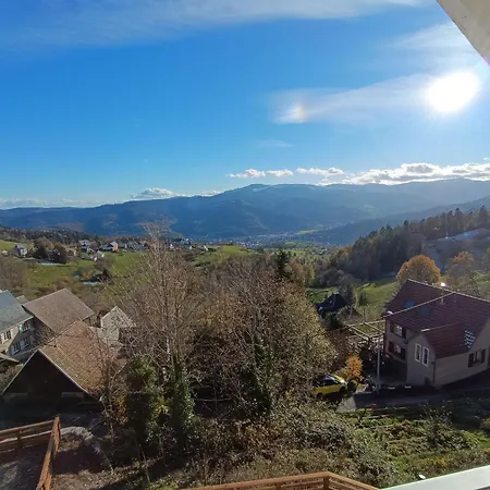 Grande Maison, Jusqu’à 14 Personnes, Calme Entre Forêt Et Montagne - Fr-1-744-47 Casa de Férias Hohrod